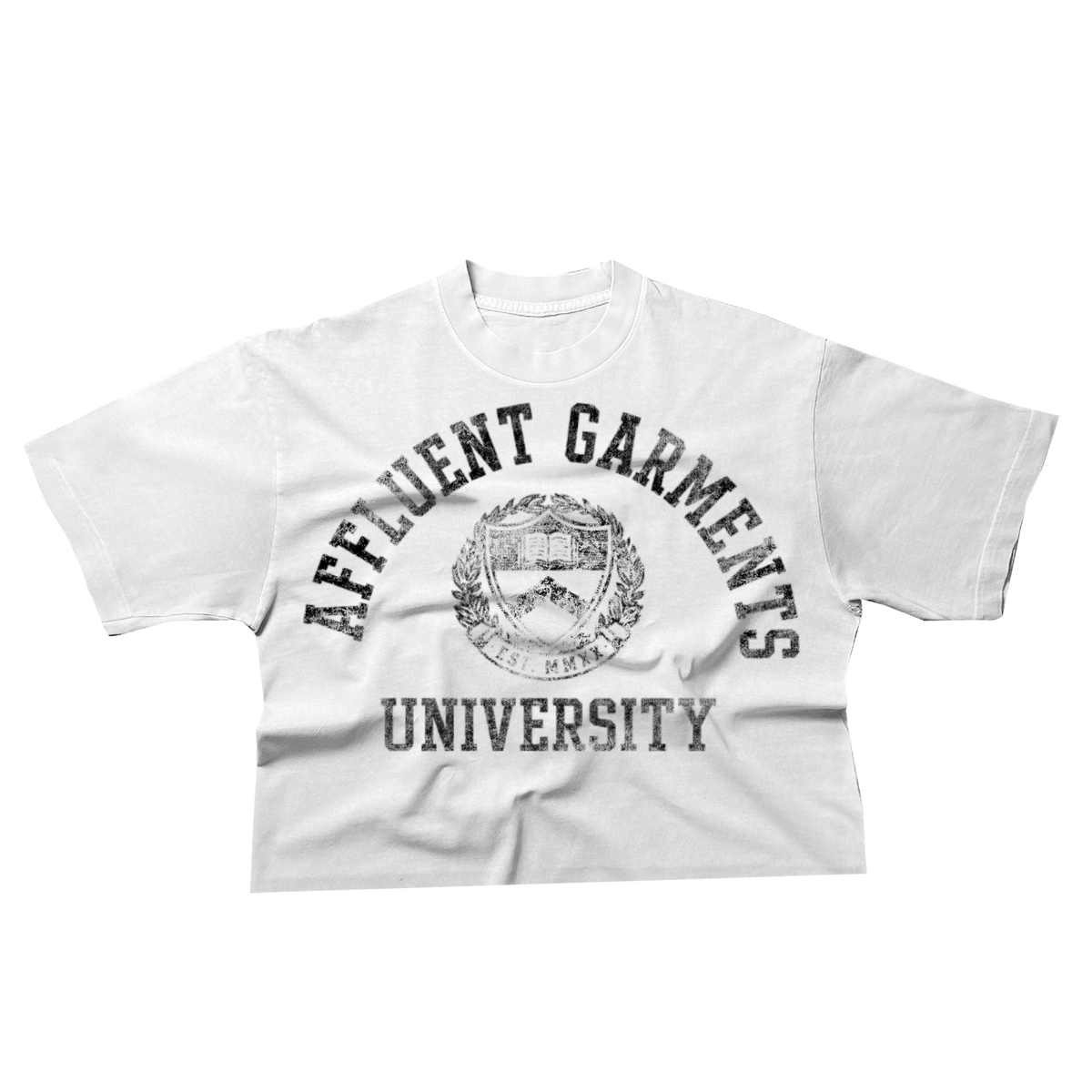 Vintage University Tee