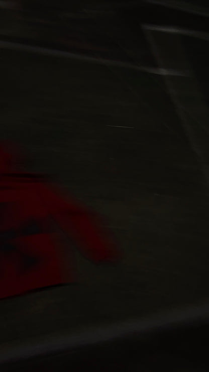 ART TO DIE 4